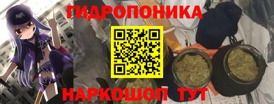 прущие крисы Будённовск