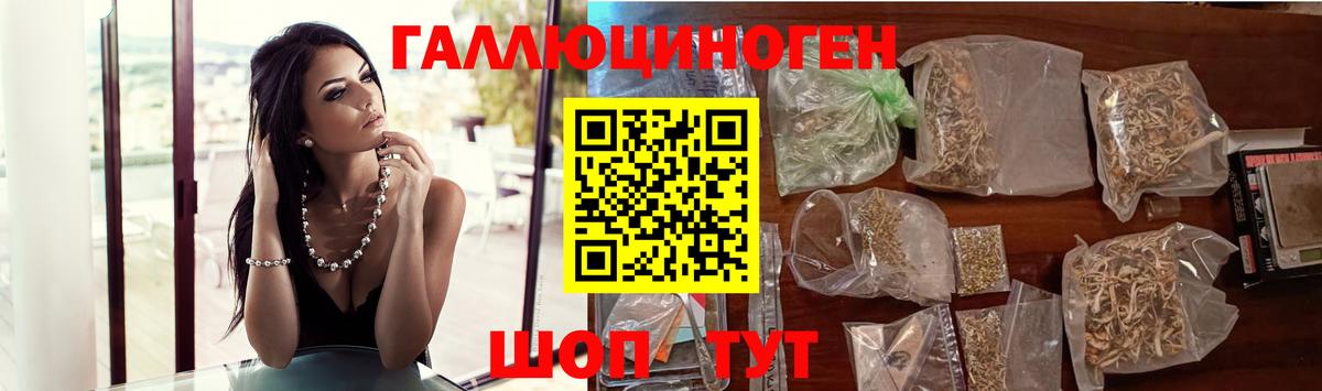 Галлюциногенные грибы Psilocybe Татарск